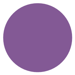 Purple Gaze