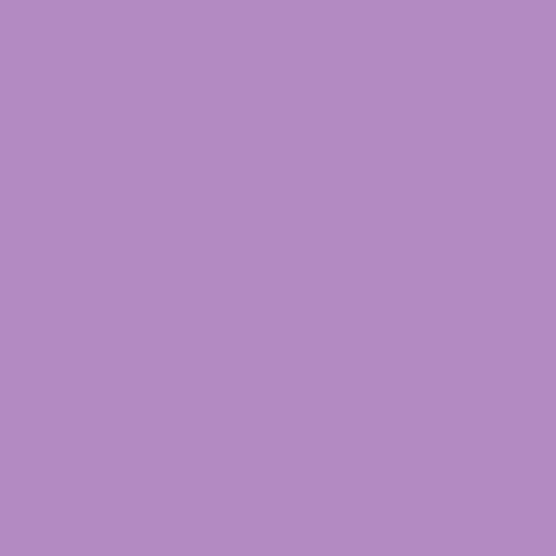 Lavender Patch